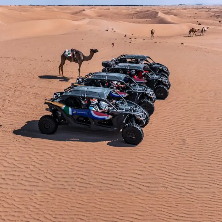Evening Desert Safari